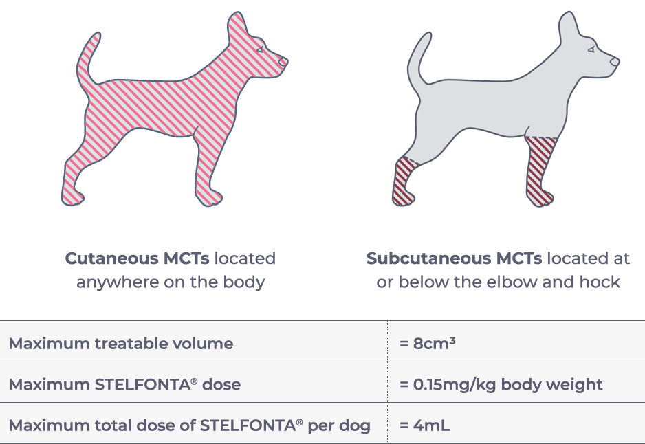 Do Dogs Lick Mast Cell Tumors